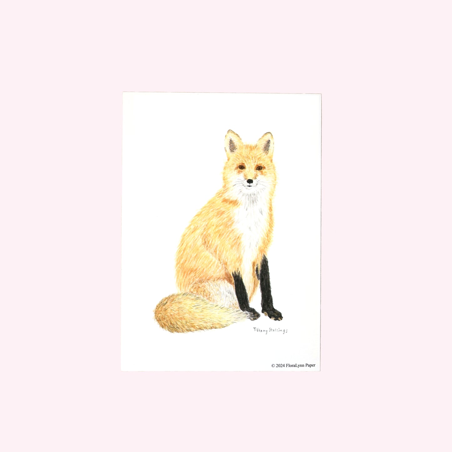 Friendly Fox Art Print