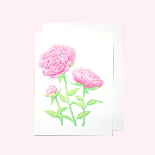 Pink Peonies Note Card