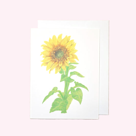 Sunflower Note Card