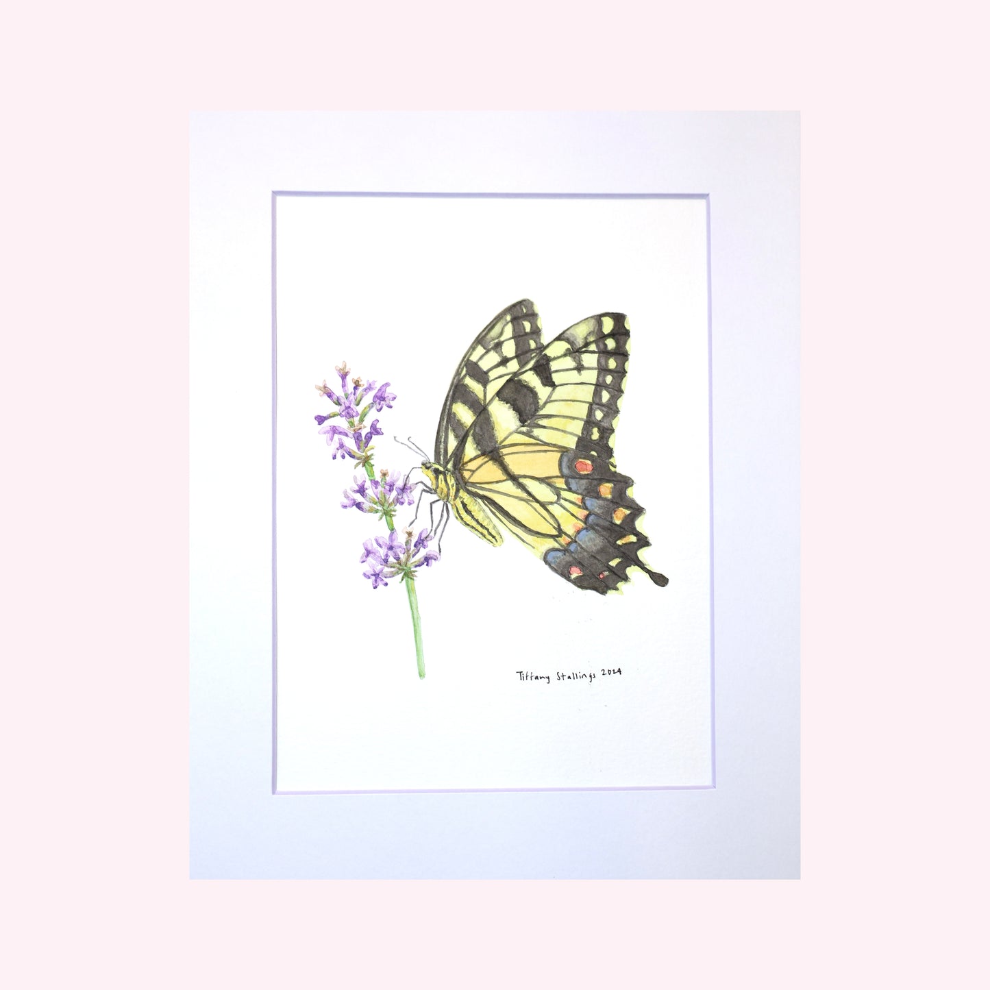 Swallowtail Butterfly on Lavender Original