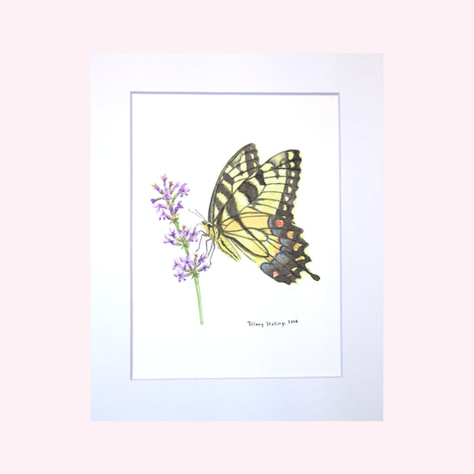 Swallowtail Butterfly on Lavender Original