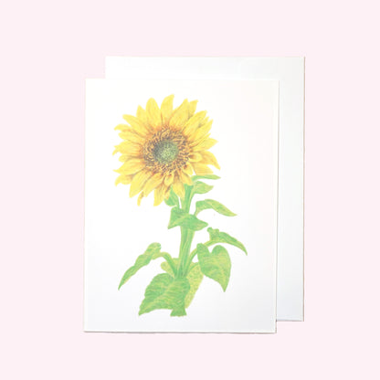 Assorted Sunflower Note Card Set
